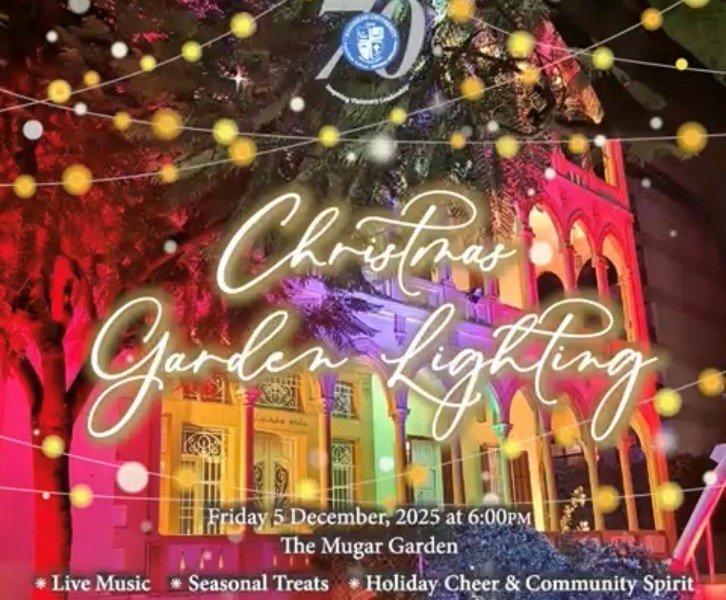 Christmas Garden Lighting