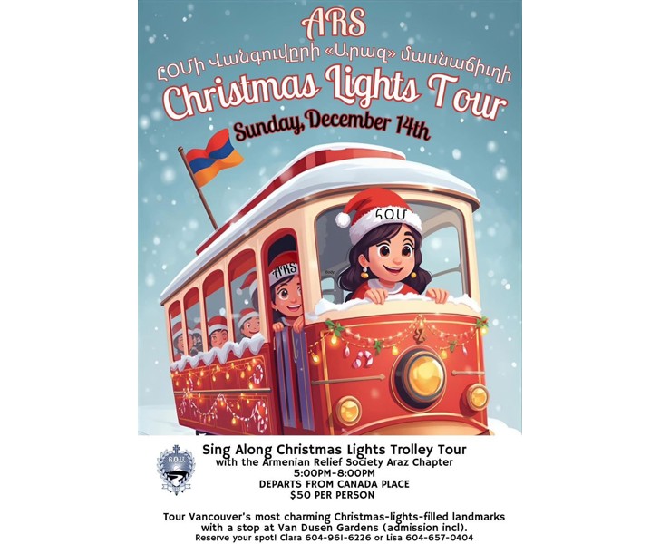 Christmas Lights Tour