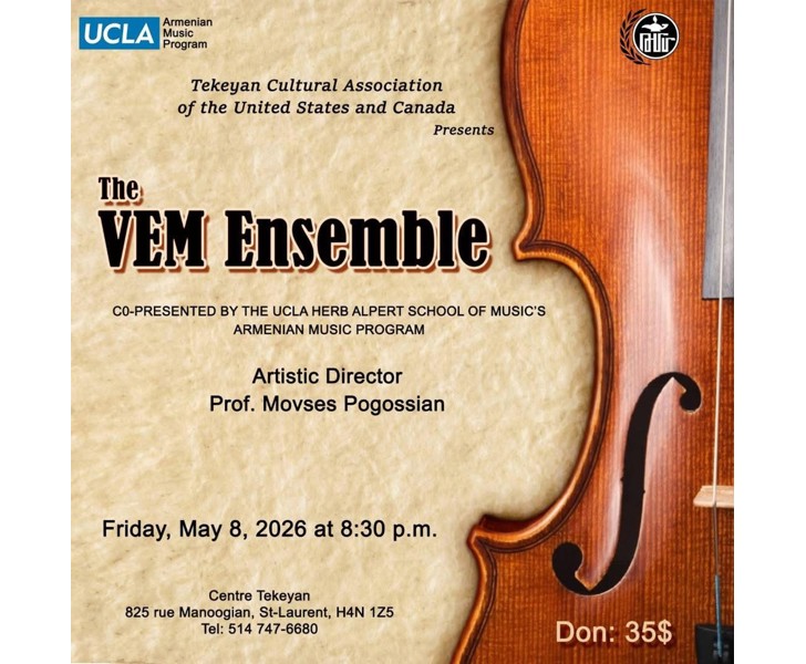 The VEM Ensemble